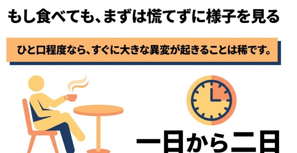 もしピザ用チーズのカビを食べてしまったら？すぐに行うべきこと